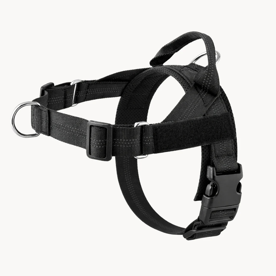 Harnais anti-traction pour chien
