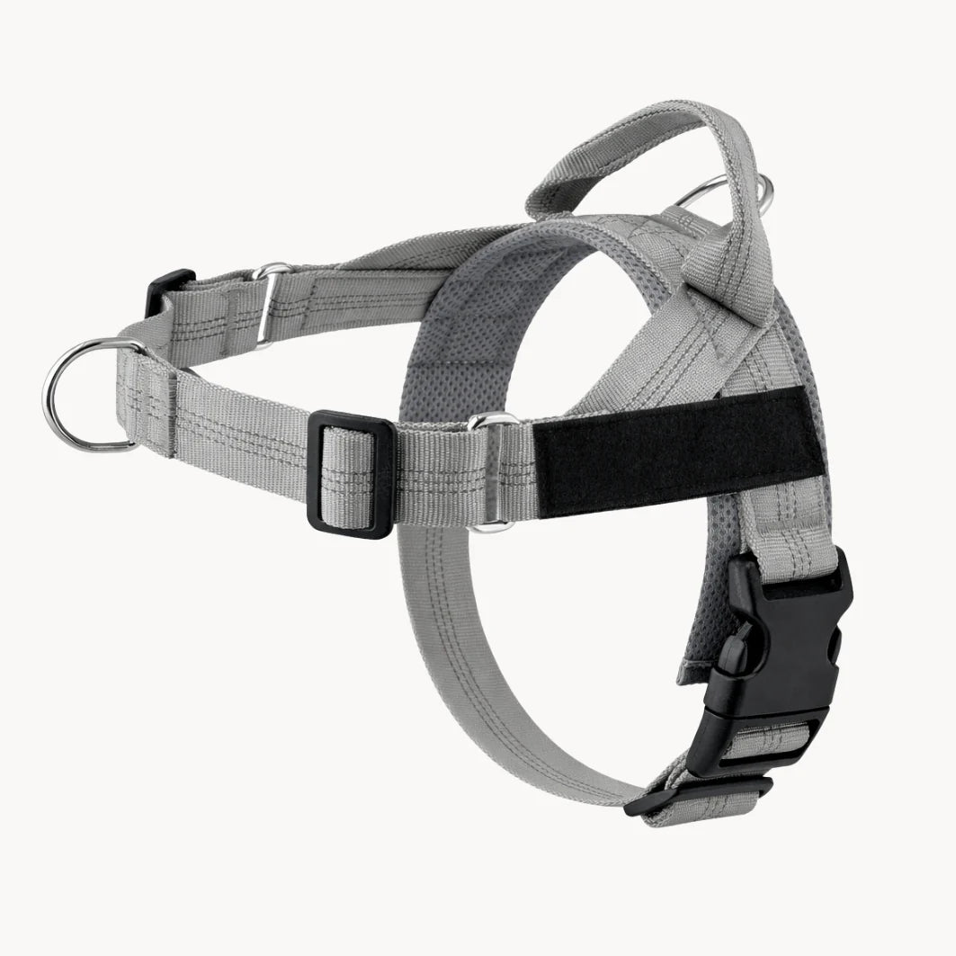 Harnais anti-traction pour chien