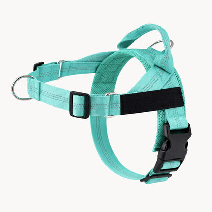 Harnais anti-traction pour chien