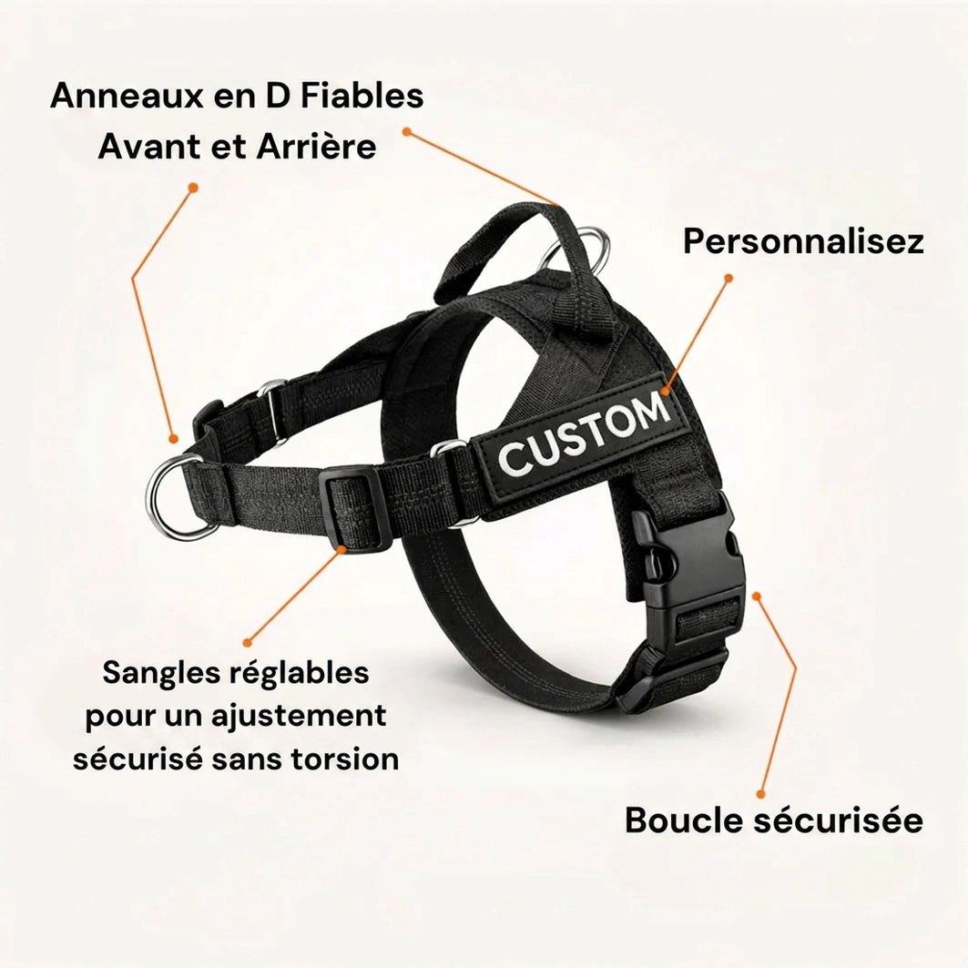 Harnais anti-traction pour chien
