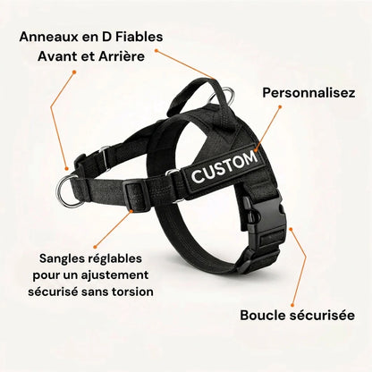 Harnais anti-traction pour chien