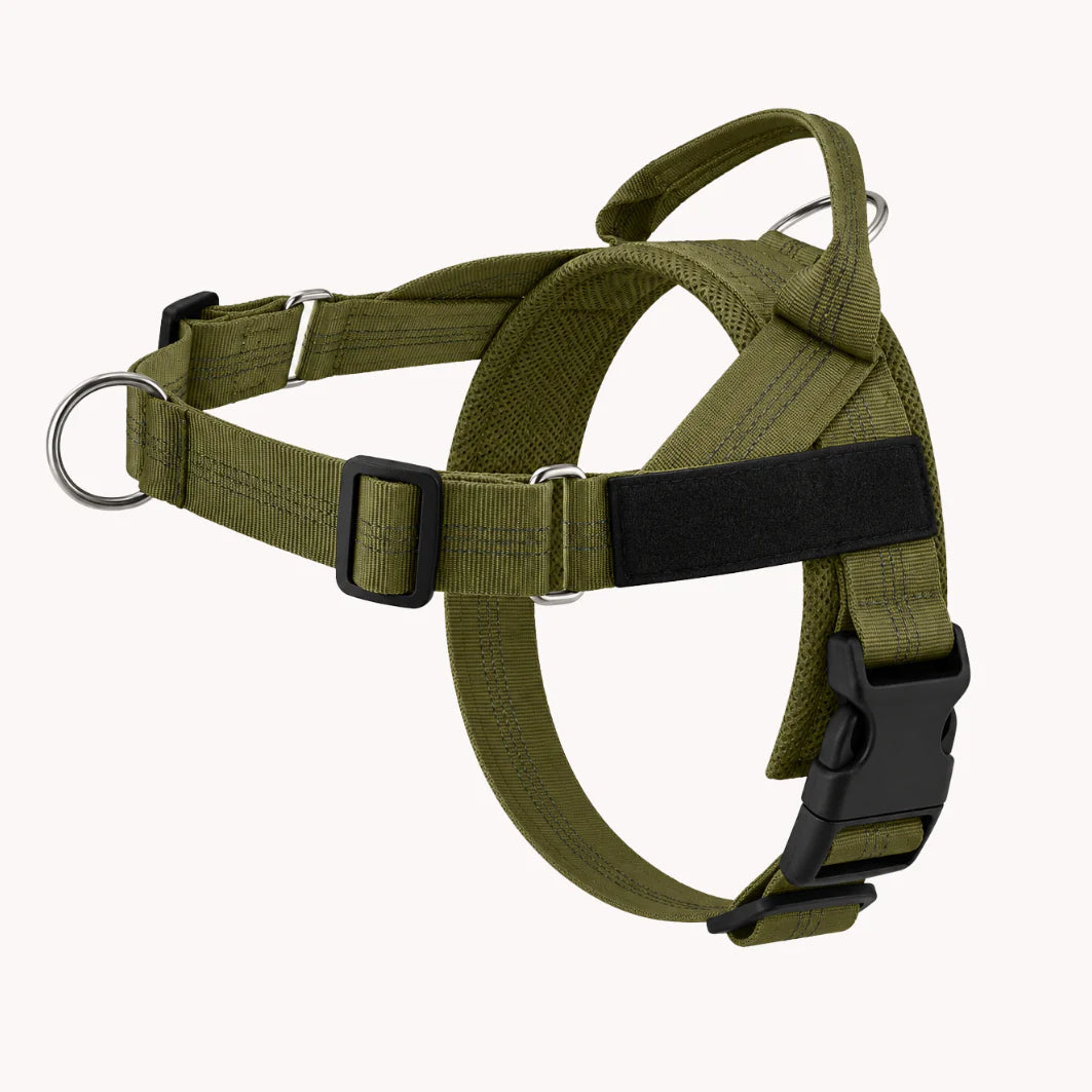 Harnais anti-traction pour chien