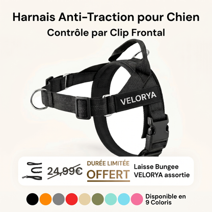 Harnais anti-traction pour chien