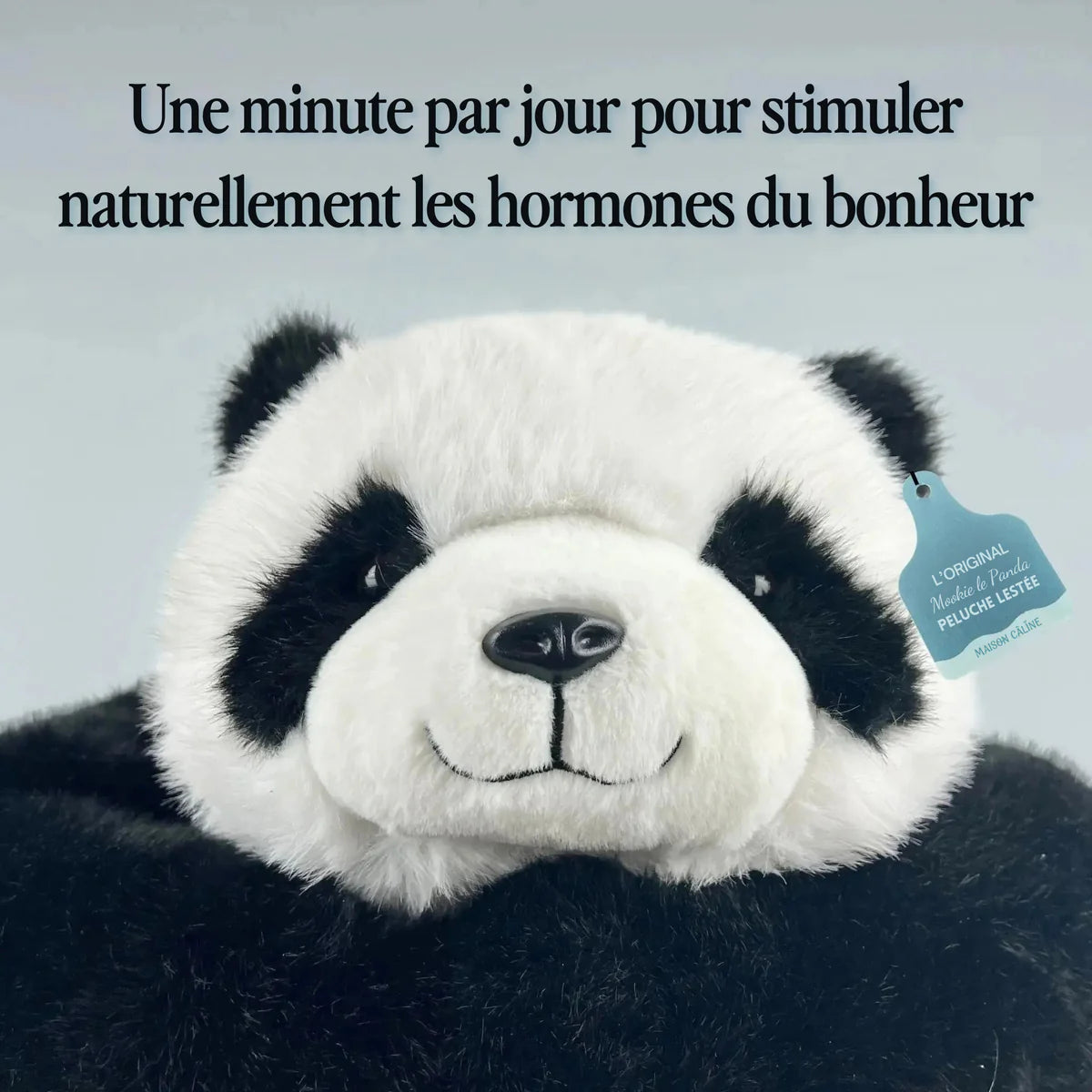L'Étreinte - La peluche lestée qui t'enlace comme un vrai câlin