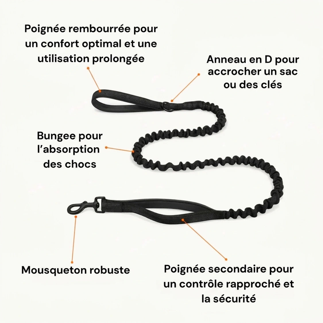Harnais anti-traction pour chien
